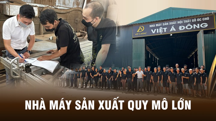 Nhà máy sản xuất Việt Á Đông